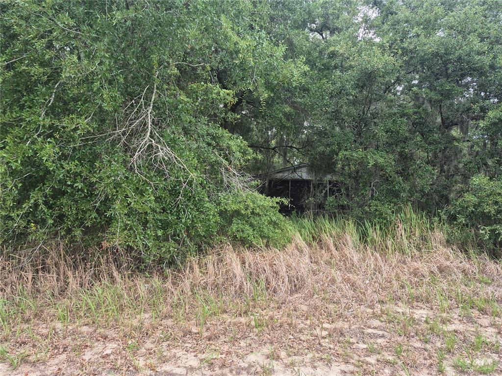 A small, weathered structure is partially obscured by dense trees and tall grass — 1626 S US 301, SUMTERVILLE, FL