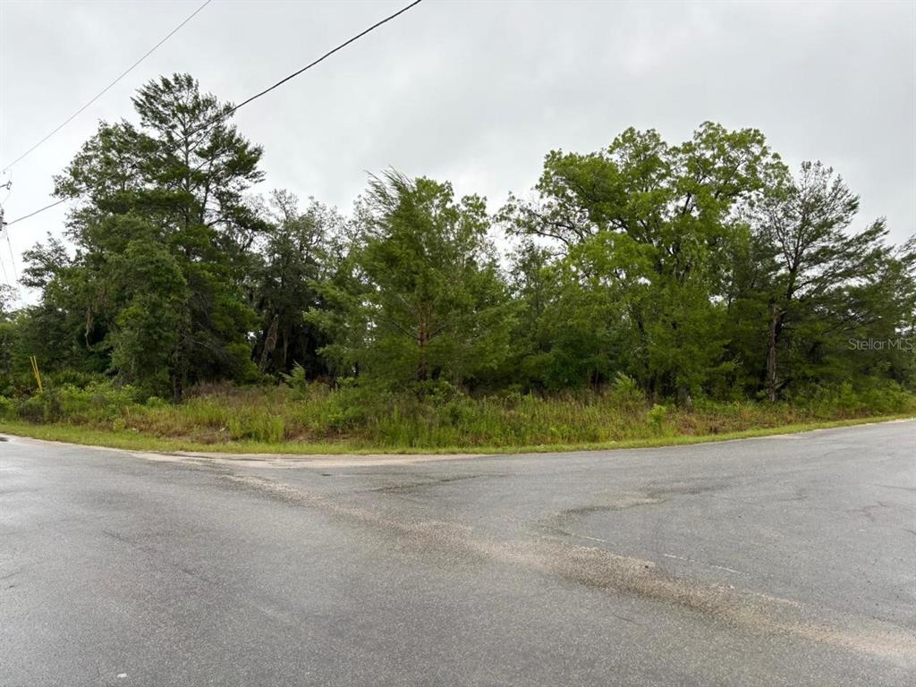 A corner lot with trees and vegetation sits at the intersection of two paved roads — 1 MALAUKA RADIAL DRIVE, OCKLAWAHA, FL