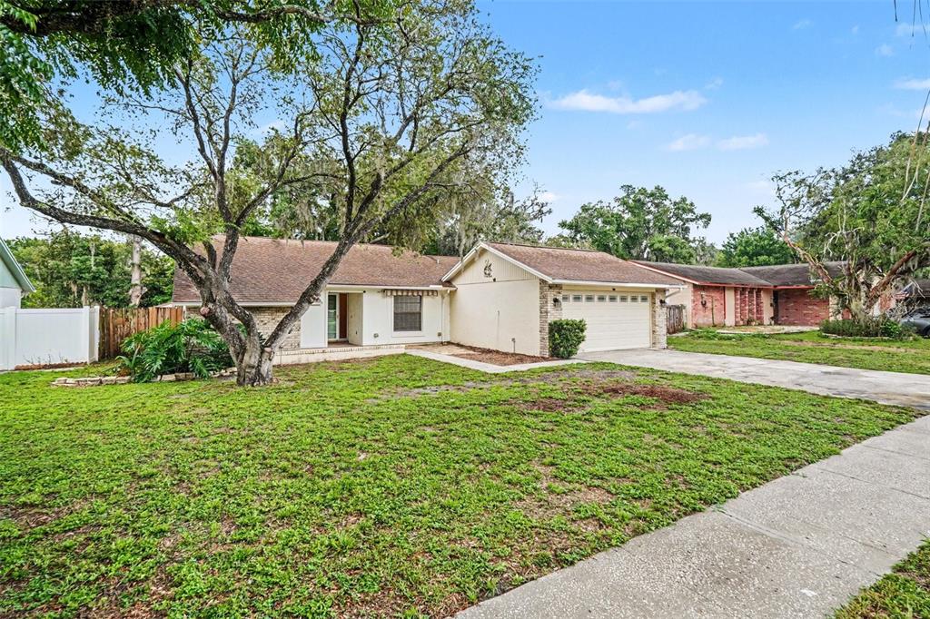 A single-story house with a beige exterior, a two-car garage, and a large front tree — 17703 CRANBROOK DRIVE, LUTZ, FL