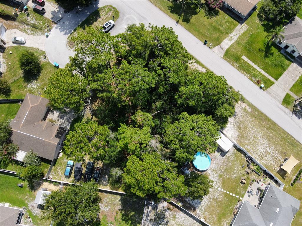 An aerial view shows a residential lot with a dense cluster of trees and a pool — 1255 MYRA COURT, DELTONA, FL