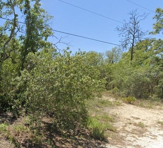 A dirt path leads into a wooded area with trees and overhead power lines — 5276 W WINTER SUN LANE, HOMOSASSA, FL