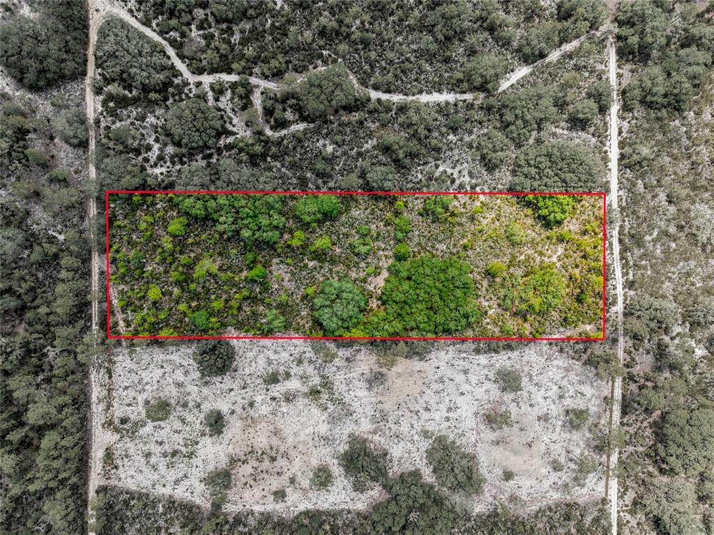 An aerial view shows a rectangular plot of land outlined in red amidst wooded terrain — Lot 00 NE 56TH ST, BRONSON, FL