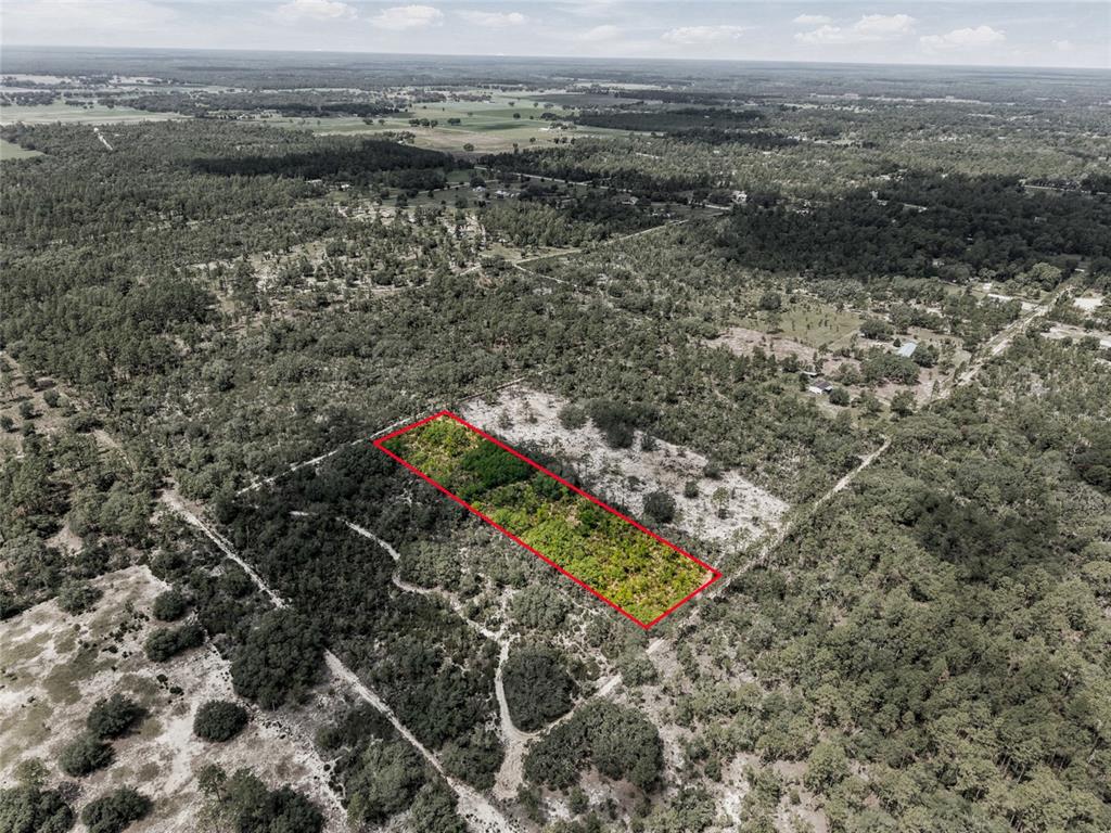 An aerial view shows a rectangular plot of land outlined in red amidst wooded terrain — Lot 00 NE 56TH ST, BRONSON, FL