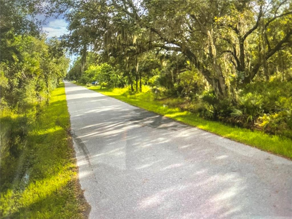 A paved road stretches into the distance, lined with lush green trees and vegetation — 3233 DOUGLAS ROAD, PORT CHARLOTTE, FL