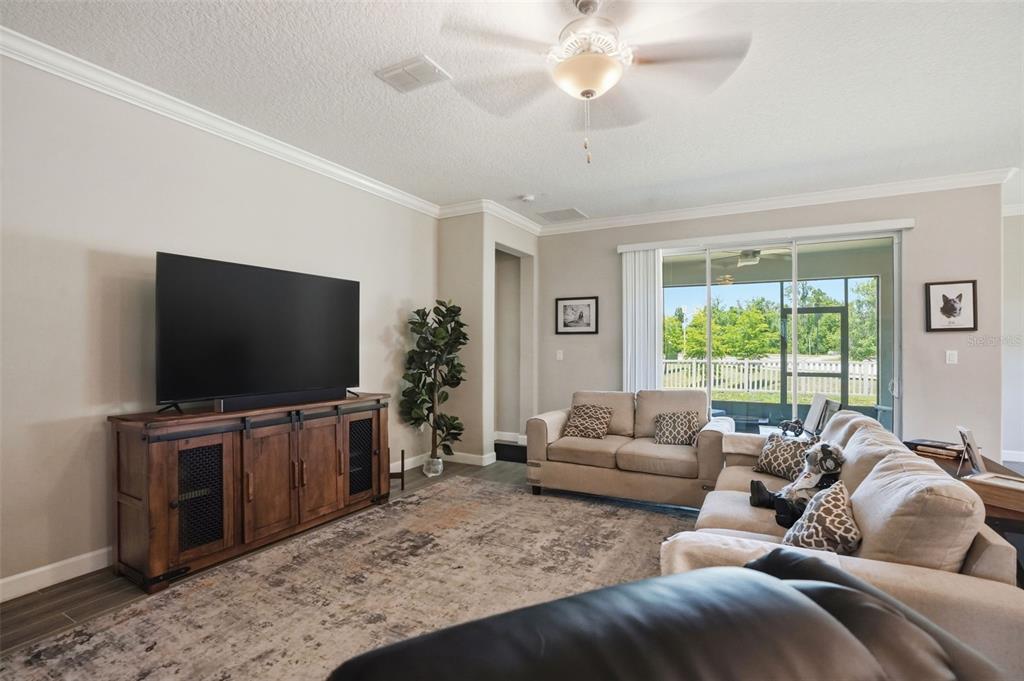A living room features a large television on a wooden console, a sofa, and sliding doors — 17135 SHELL BAY DRIVE, LAND O LAKES, FL