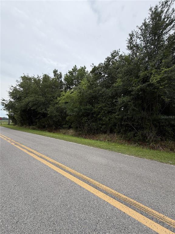 A paved road runs alongside a dense line of trees and vegetation — 158 E CRACKER SWAMP ROAD, EAST PALATKA, FL