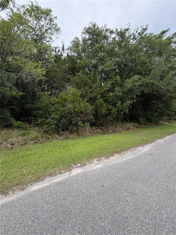 A paved road runs alongside a grassy verge bordering a dense, wooded lot — 158 E CRACKER SWAMP ROAD, EAST PALATKA, FL