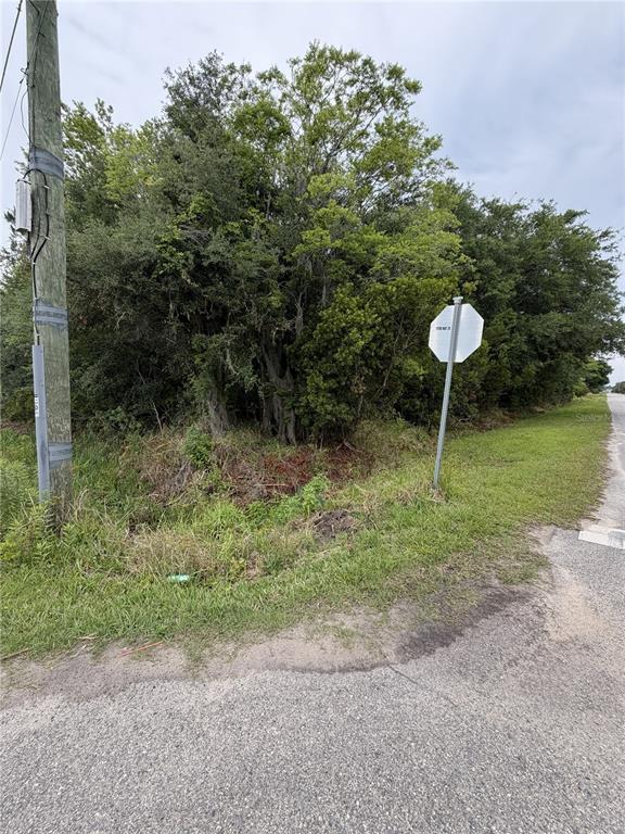 A utility pole and a stop sign stand beside a dense, wooded lot — 158 E CRACKER SWAMP ROAD, EAST PALATKA, FL