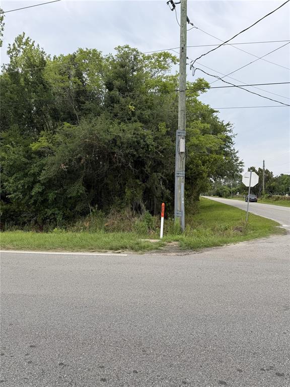 A utility pole stands at the corner of a paved road next to dense vegetation — 158 E CRACKER SWAMP ROAD, EAST PALATKA, FL