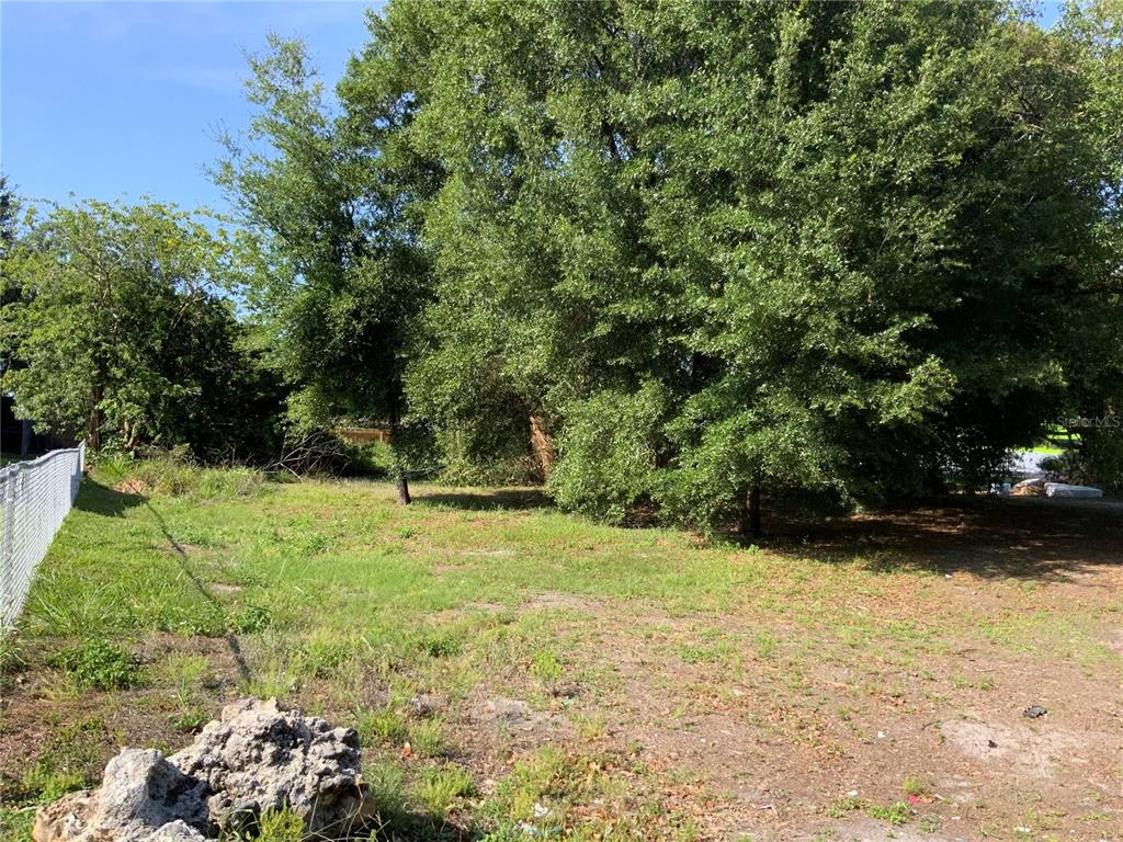 A grassy, partially shaded vacant lot features a chain-link fence and several mature trees — 5902 N 50TH STREET, TAMPA, FL