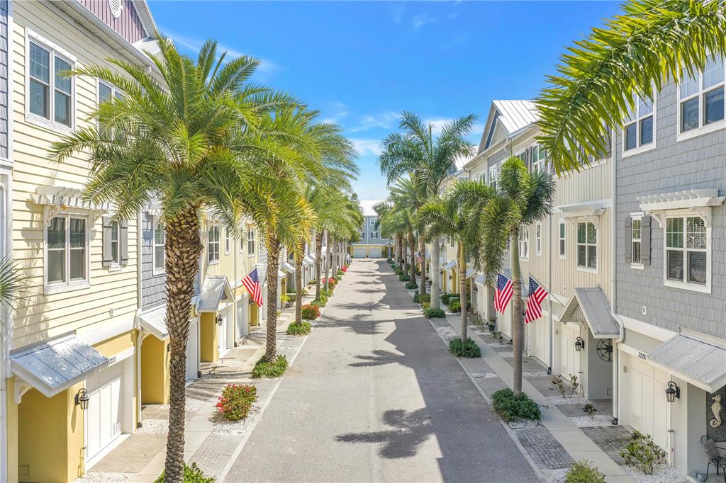 A narrow street lined with palm trees and multi-story townhouses featuring American flags — 3207 NAUTICAL PLACE S, ST PETERSBURG, FL