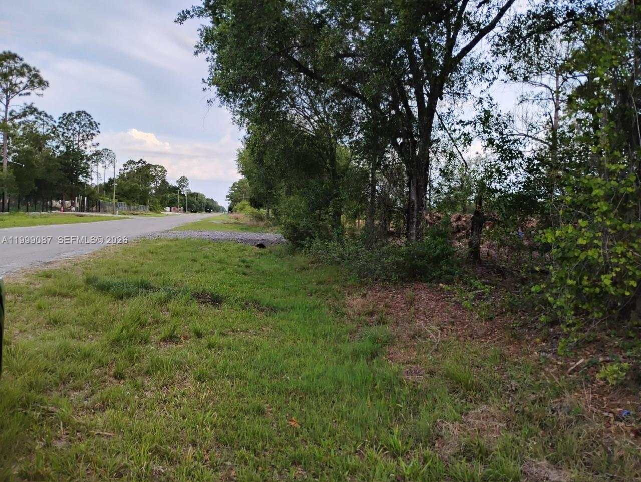 A paved road runs alongside a grassy shoulder with trees and a drainage culvert — 845 Appaloosa Avenue, Clewiston FL 33440, CLEWISTON, FL