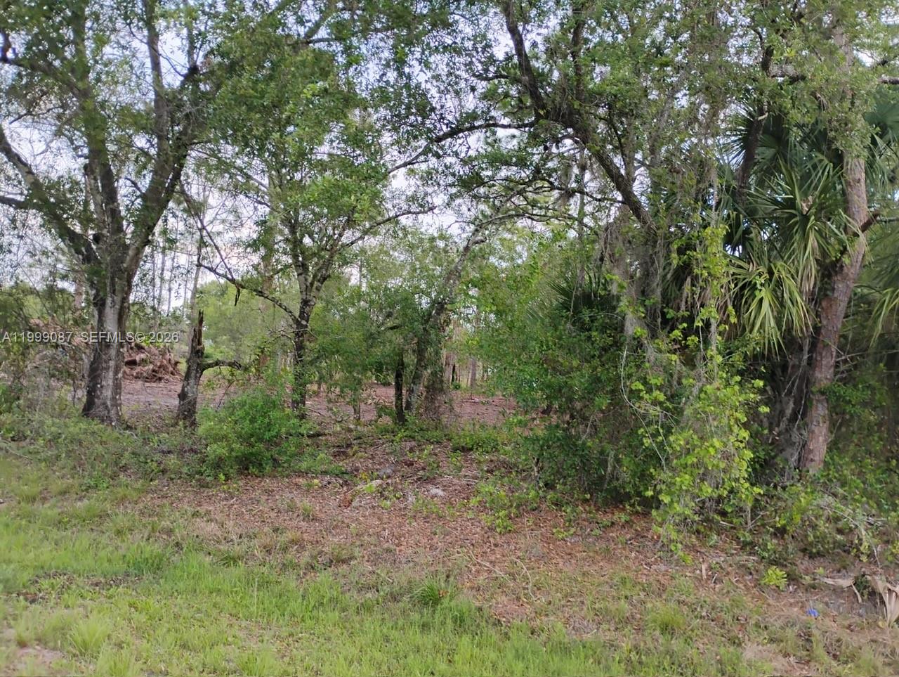 A wooded lot with mature trees and native vegetation under a bright sky — 845 Appaloosa Avenue, Clewiston FL 33440, CLEWISTON, FL