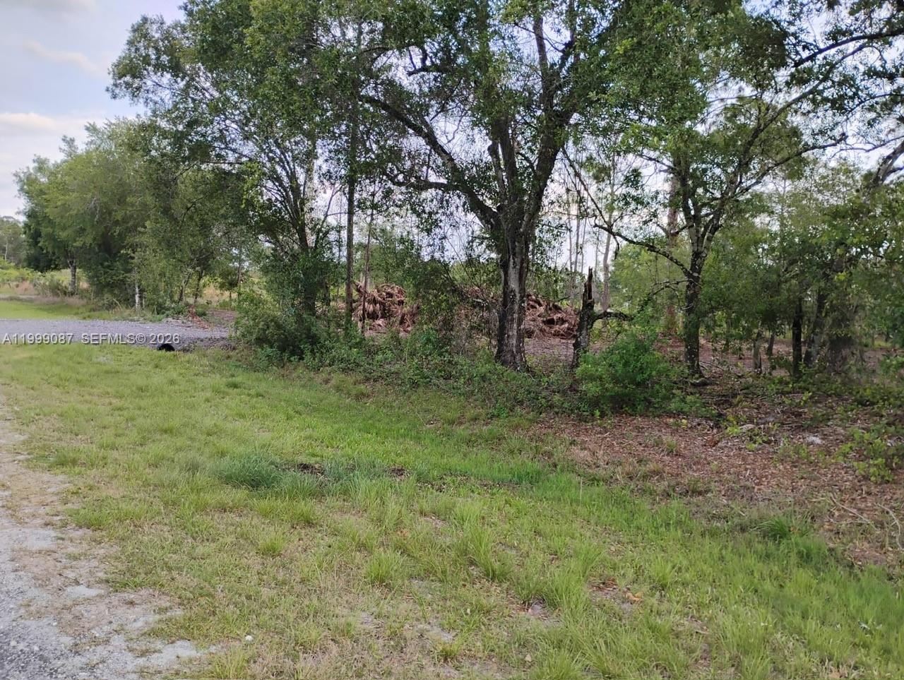 A grassy roadside leads to a wooded lot with a pile of cleared brush — 845 Appaloosa Avenue, Clewiston FL 33440, CLEWISTON, FL