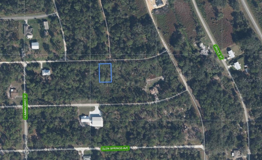 This is an aerial map showing a rectangular plot of land outlined in blue — 3224 SPOONBILL AVENUE, LAKE PLACID, FL