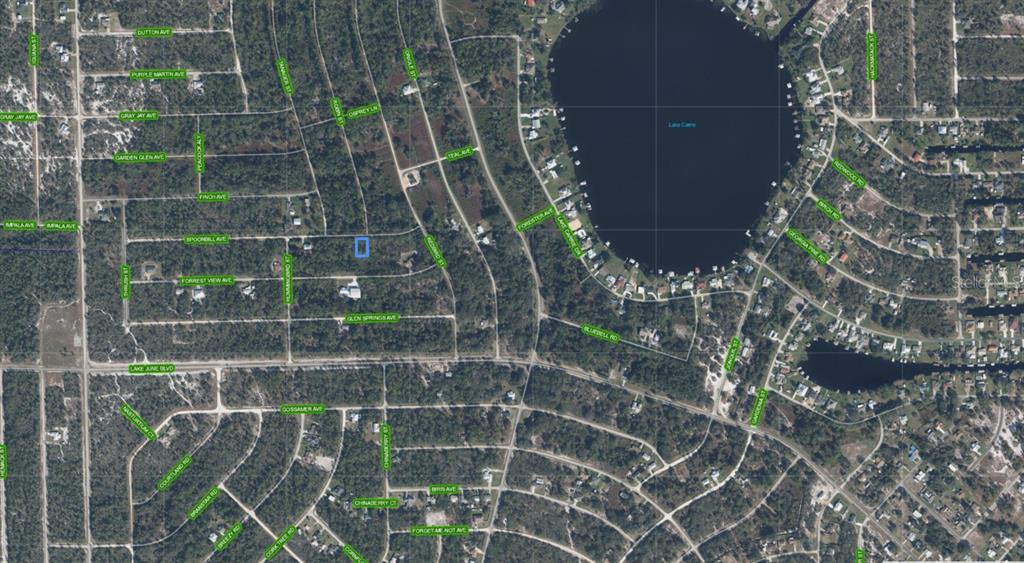 This aerial map shows a residential area with a highlighted lot near a lake — 3224 SPOONBILL AVENUE, LAKE PLACID, FL