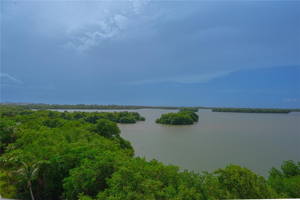 A high-angle view shows a body of water surrounded by dense green mangrove trees — 1 CLUB COSTA MARINA UNIT 8-G, CAROLINA, PR