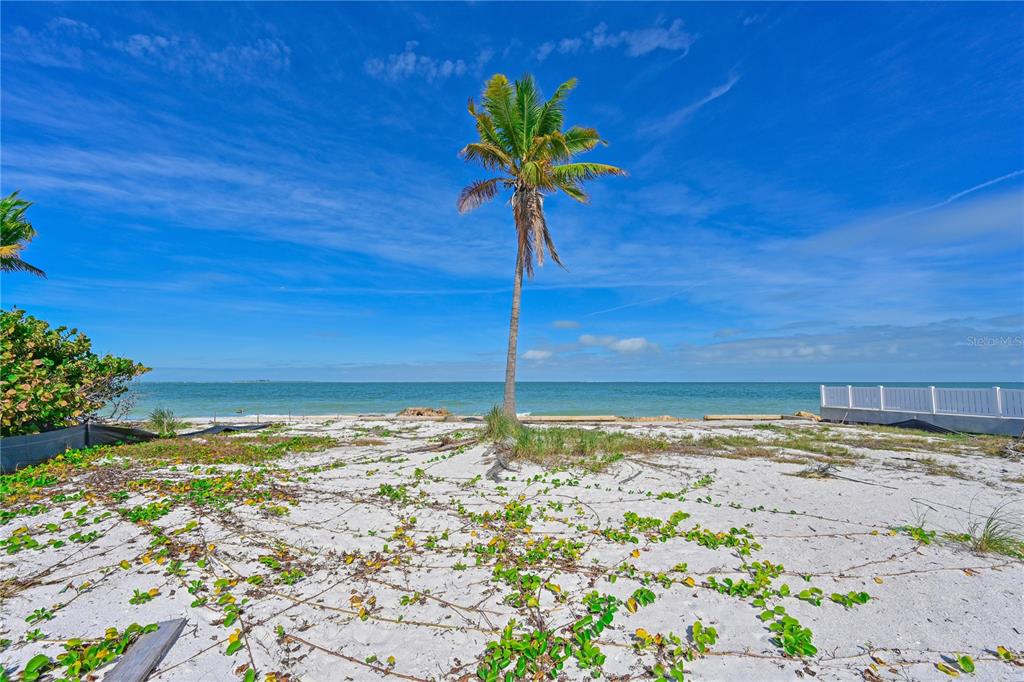 A lone palm tree stands on a sandy beach overlooking the ocean under a blue sky — 837 N SHORE DRIVE, ANNA MARIA, FL