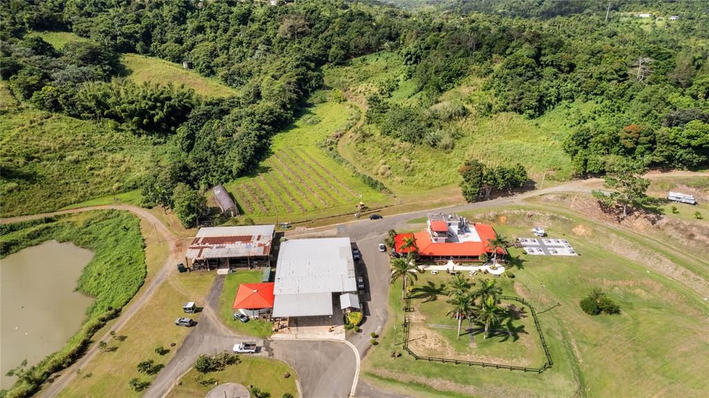 An aerial view shows a rural property with multiple buildings, a pond, and surrounding hills — HACIENDA CASCADA, AGUAS BUENAS, PR
