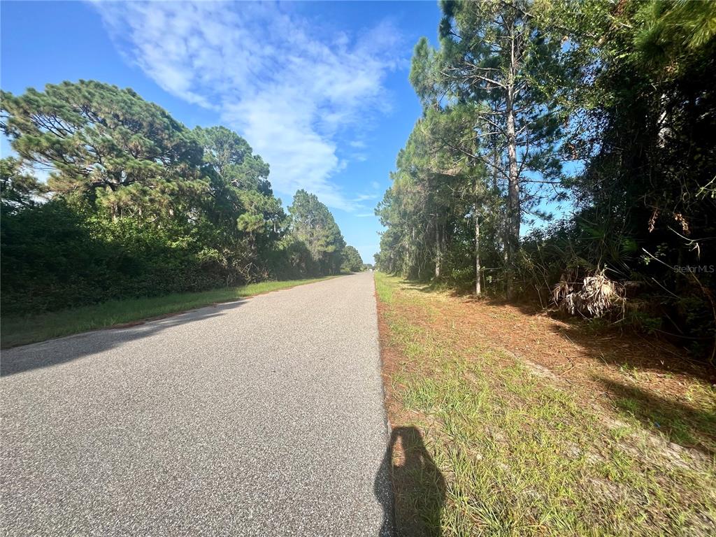 A paved road stretches into the distance, flanked by dense trees and vegetation — 12415 DEEPWOODS AVENUE, PORT CHARLOTTE, FL