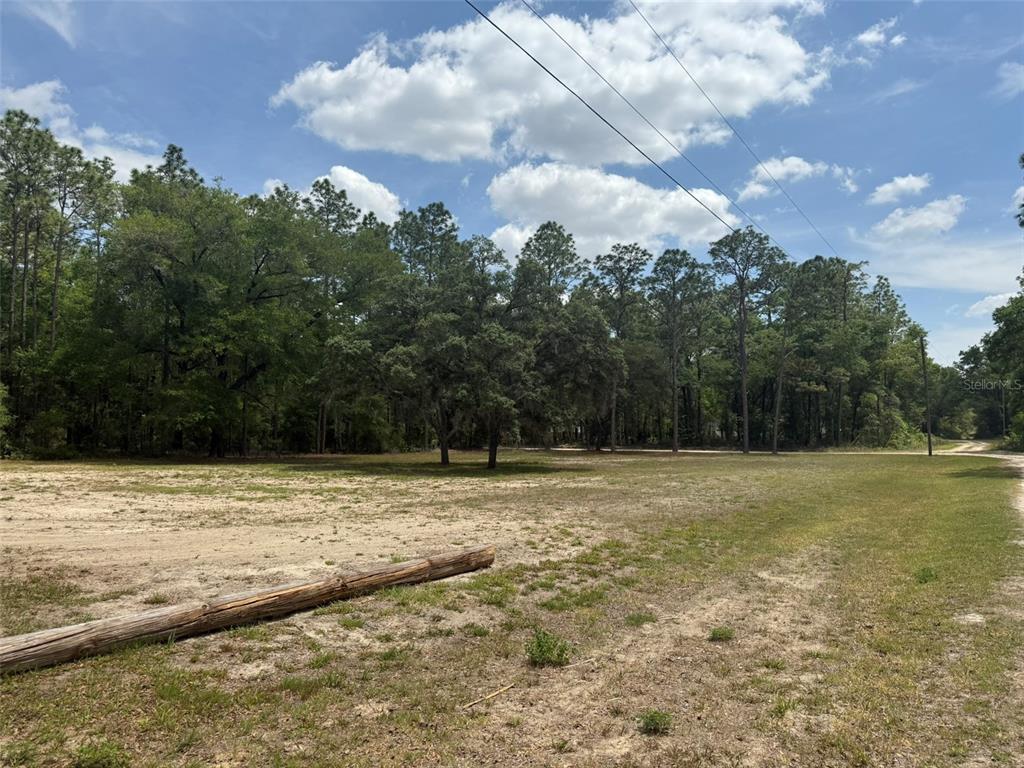 A large, cleared, sandy lot is bordered by a dense forest under a blue sky — TBD SW 158TH AVE LOT 18, OCALA, FL