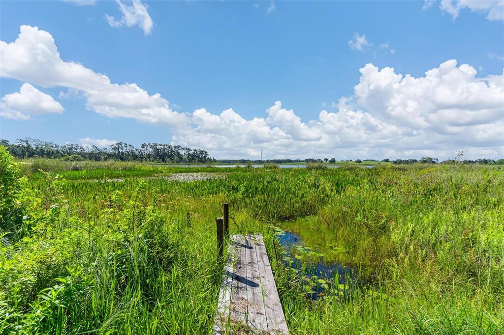 A wooden dock extends into a grassy marshland under a bright, cloudy blue sky — 26833 ANDERSON RANCH ROAD, YALAHA, FL