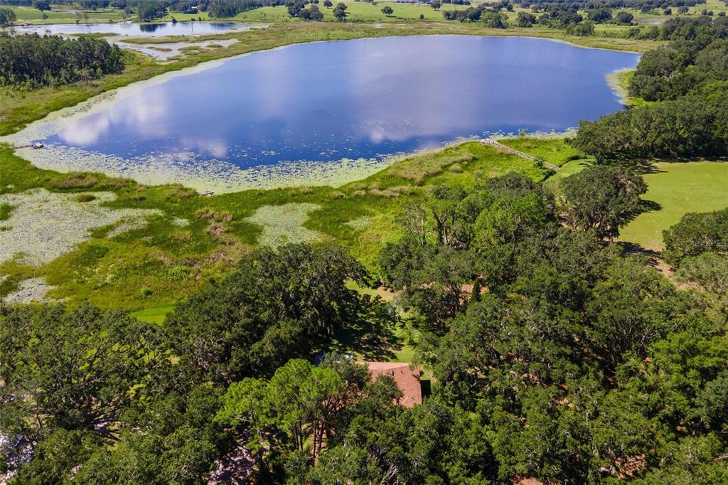 An aerial view shows a house nestled among trees beside a large, lily-covered lake — 26833 ANDERSON RANCH ROAD, YALAHA, FL
