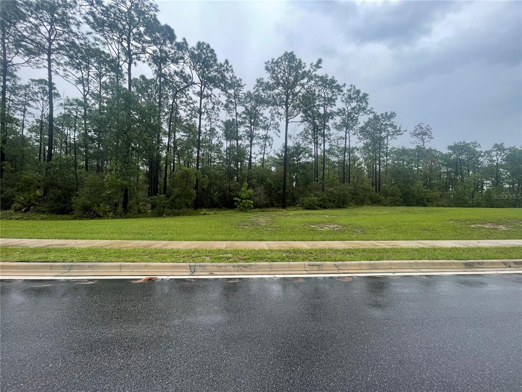 A vacant, grassy residential lot is bordered by a sidewalk and a line of trees — VIRGINIA (PAPER) AVENUE, DELTONA, FL