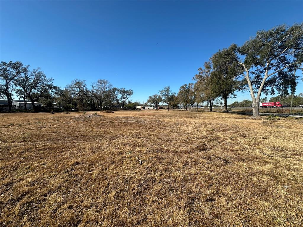 A wide, flat, dry grassy lot with scattered trees under a clear blue sky — 5257 EUREKA SPRINGS ROAD, TAMPA, FL