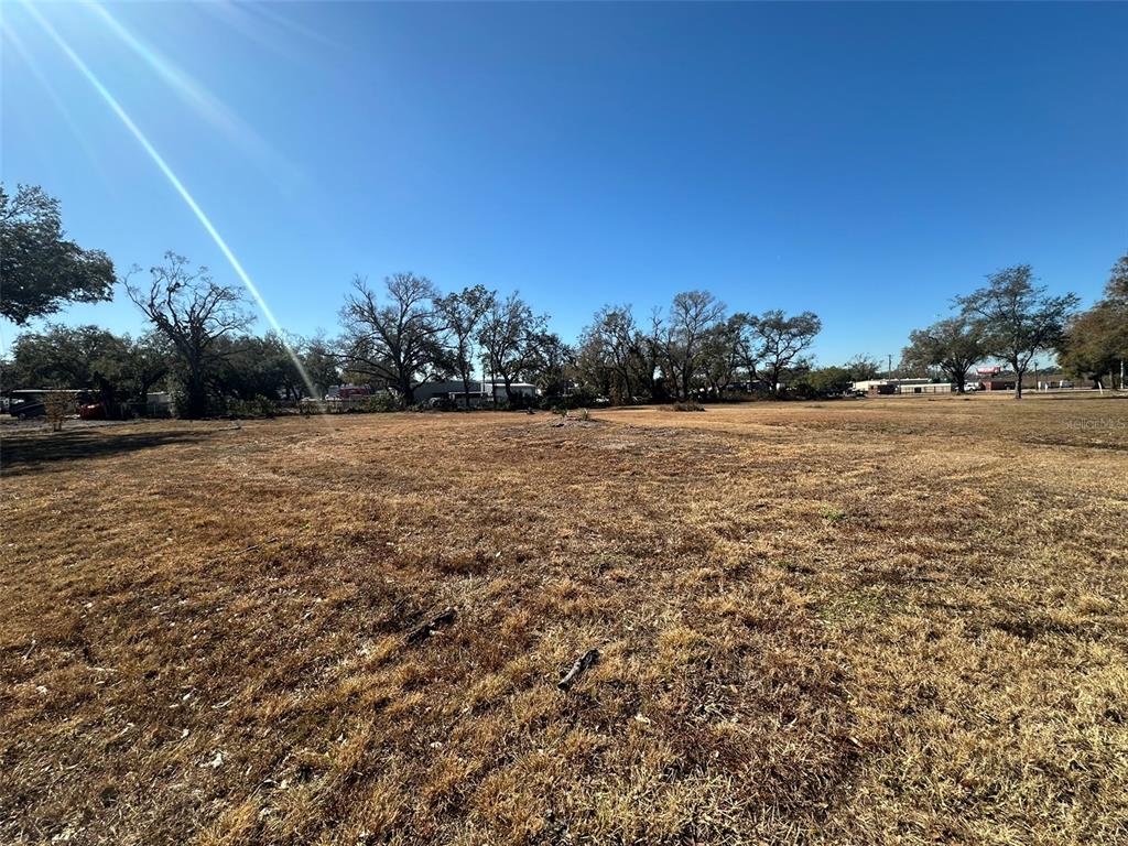 A wide, grassy, vacant lot features scattered trees under a clear blue sky — 5257 EUREKA SPRINGS ROAD, TAMPA, FL