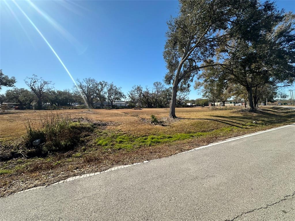 A vacant, grassy lot with several mature trees sits adjacent to a paved road — 5257 EUREKA SPRINGS ROAD, TAMPA, FL