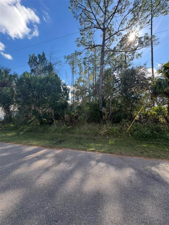 A paved road runs in front of a wooded, undeveloped residential lot under a sunny sky — 38 SLEEPY HOLLOW TRAIL, PALM COAST, FL