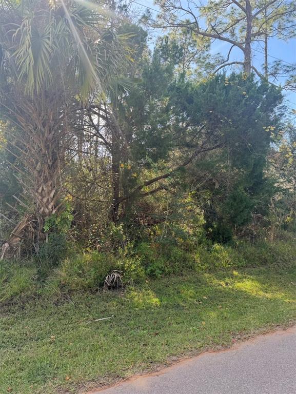 A view of a wooded lot featuring a large palm tree and dense vegetation — 38 SLEEPY HOLLOW TRAIL, PALM COAST, FL