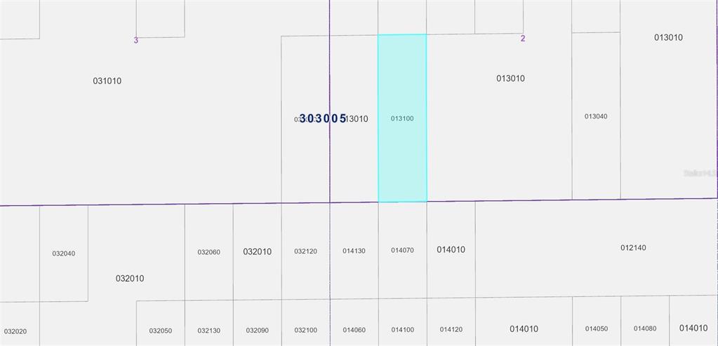 This image is a tax map showing property parcel boundaries and identification numbers — VACANT LAND 30-30-05-000000-013100, LAKE WALES, FL
