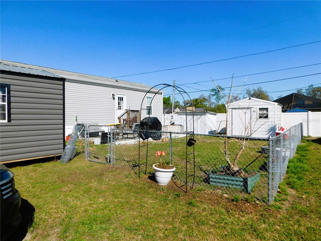 A backyard features a chain-link fence, a metal garden arch, and two storage sheds — 39143 HILLCREST DRIVE, ZEPHYRHILLS, FL