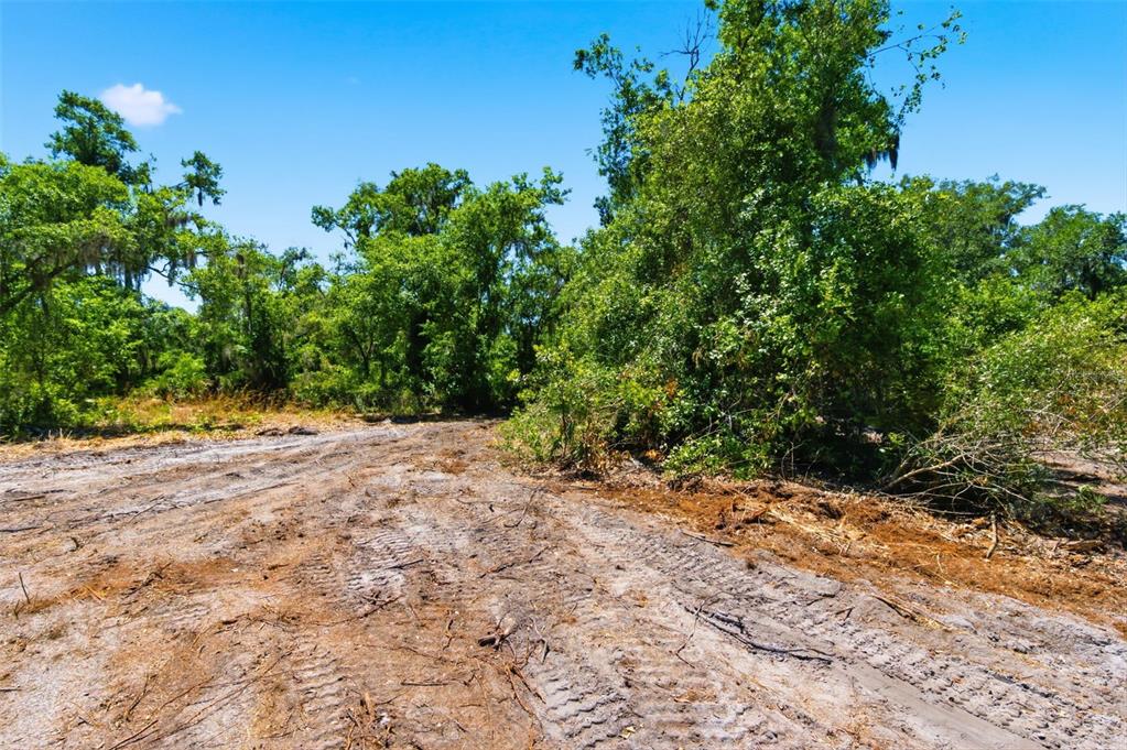 An aerial view shows a large, wooded plot of land divided into five numbered sections — 19084 RED BIRD LANE LOT 3, LITHIA, FL