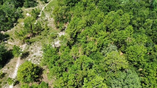 An aerial view shows a wooded lot with a dirt path winding through the trees — 4026 N ORANGE BLOSSOM TRAIL, MOUNT DORA, FL