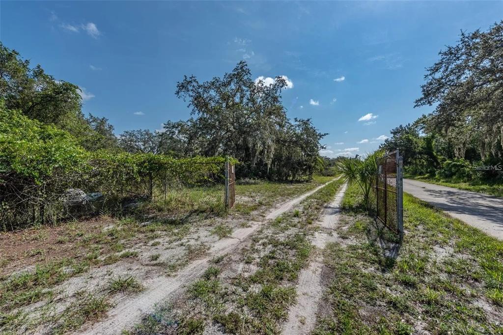 A dirt driveway leads through an open metal gate into a wooded, grassy lot — 12154 BULLFROG CREEK ROAD, GIBSONTON, FL
