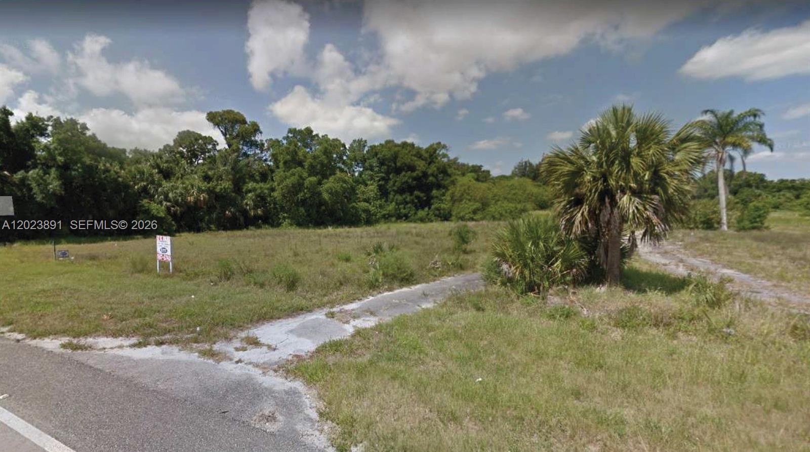 A vacant, grassy lot features a palm tree and a small paved driveway entrance — 7985 US Highway 1, Vero Beach FL 32967, VERO BEACH, FL