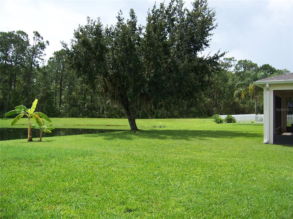 A grassy backyard features a large tree, a small pond, and a screened-in patio area — 8631 GREENBANK BOULEVARD, WINDERMERE, FL