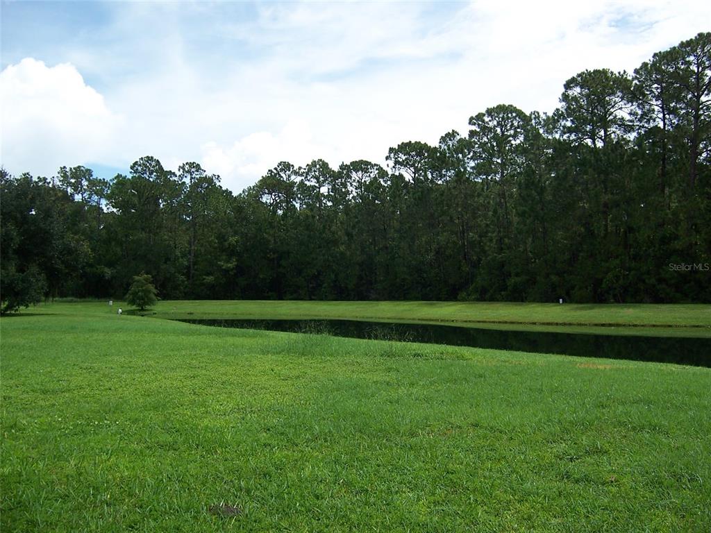 A grassy lawn slopes down toward a small pond bordered by a dense forest — 8631 GREENBANK BOULEVARD, WINDERMERE, FL