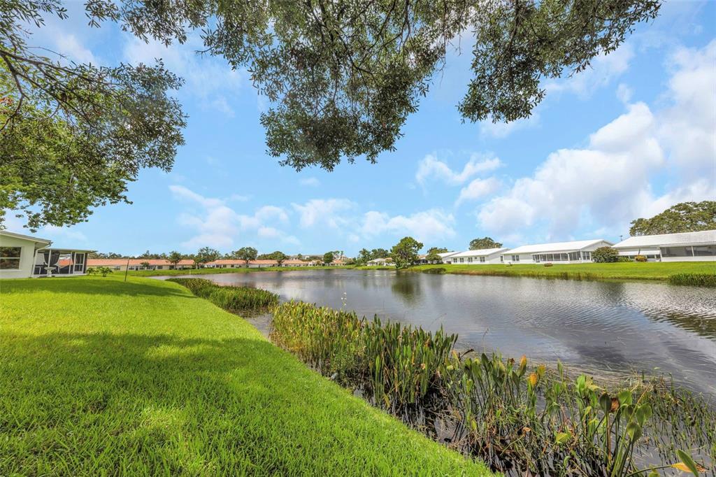 A view of a pond surrounded by green grass and residential homes under a blue sky — 9110 40TH WAY N, PINELLAS PARK, FL