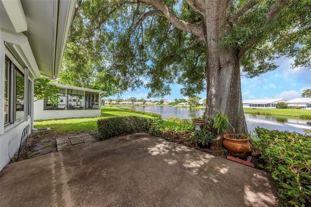 A concrete patio overlooks a lake with a large tree and a screened-in porch nearby — 9110 40TH WAY N, PINELLAS PARK, FL
