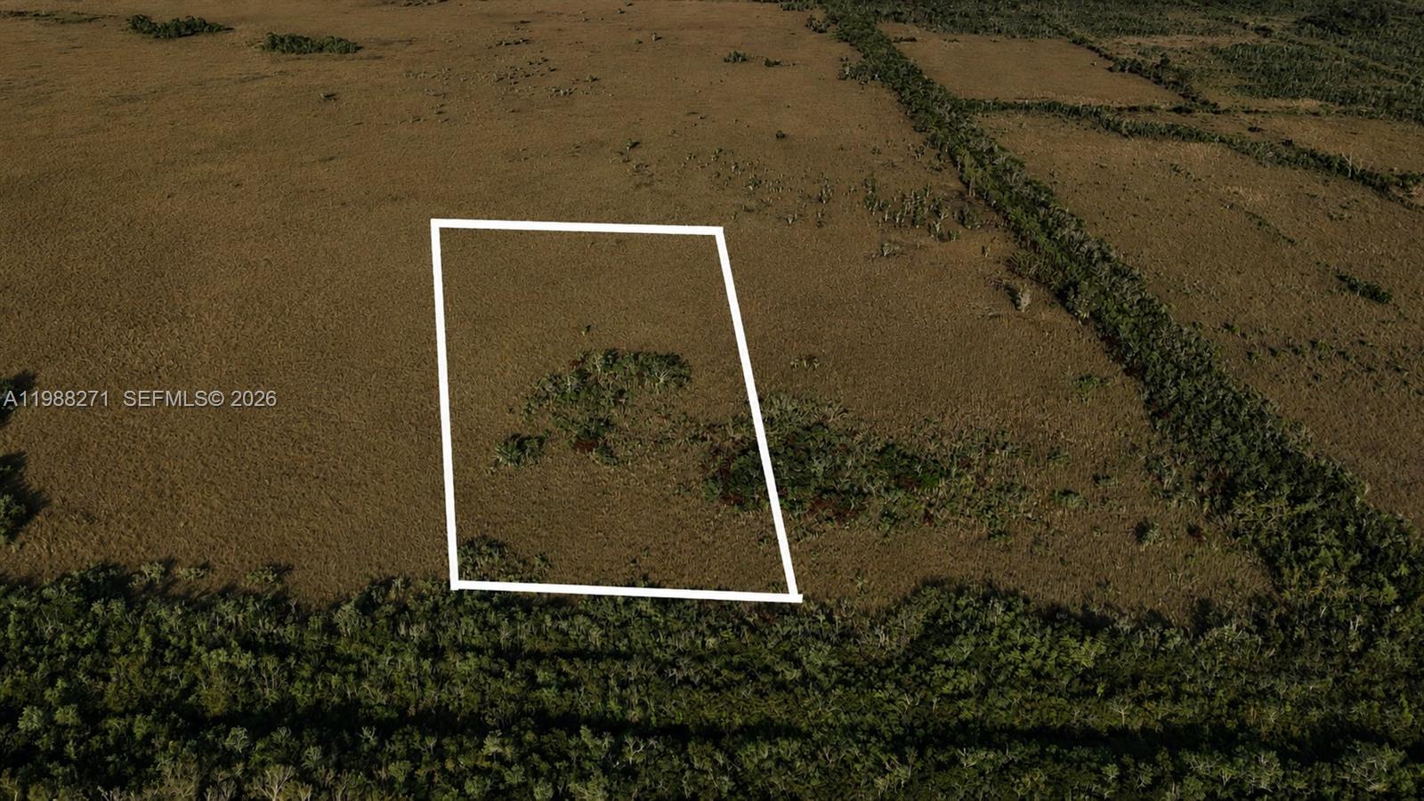 An aerial view shows a rectangular plot of land outlined in white amidst vegetation — 0 Unknown Road, Unincorporated Dade County FL 33034, UNINCORPORATED DADE COUNTY, FL
