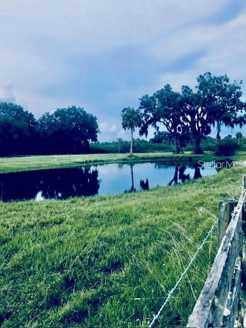 7000 US-19, TERRA CEIA, FL — photo 2 of 30