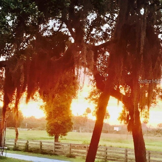 7000 US-19, TERRA CEIA, FL — photo 4 of 30