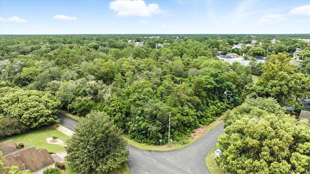 LINDEN DRIVE, SPRING HILL, FL — photo 5 of 20