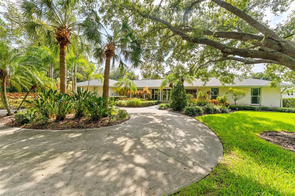 A curved concrete driveway leads to the front entrance of a single-story house with landscaping — 2109 MEADOW BROOK DRIVE, CLEARWATER, FL