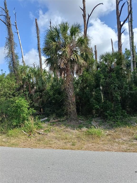 A tall palm tree stands in a wooded area next to a paved road — 15082 COMMUNITY AVENUE, PORT CHARLOTTE, FL