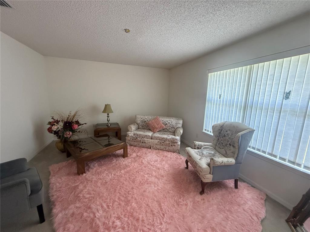 A living room features a pink shag rug, floral furniture, and a large window — 4 BALLARD LANE, PALM COAST, FL